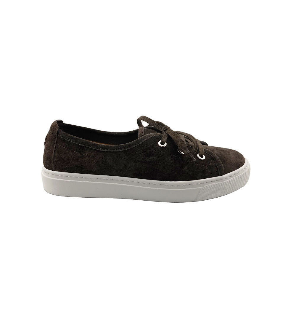 Sneakers Henderson donna Candy testa di moro CANDY.S.0 CACHEMIRE AFRICA HENDERSON