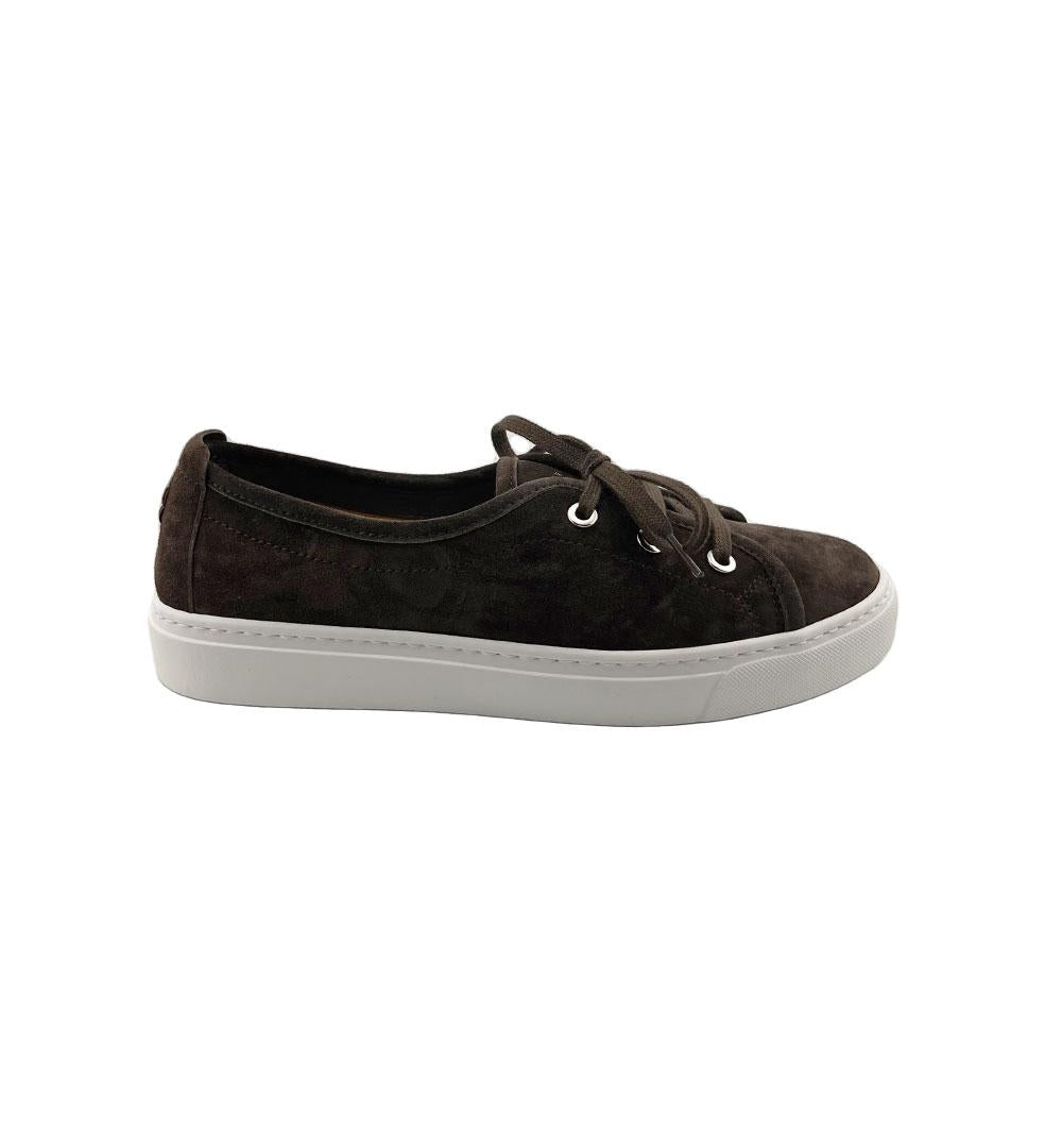 Sneakers Henderson donna Candy testa di moro CANDY.S.0 CACHEMIRE AFRICA HENDERSON