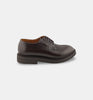 Derby GREEN GEORGE uomo 9047 testa di moro